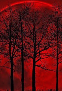 Ánh Trăng Đoạt Mạng