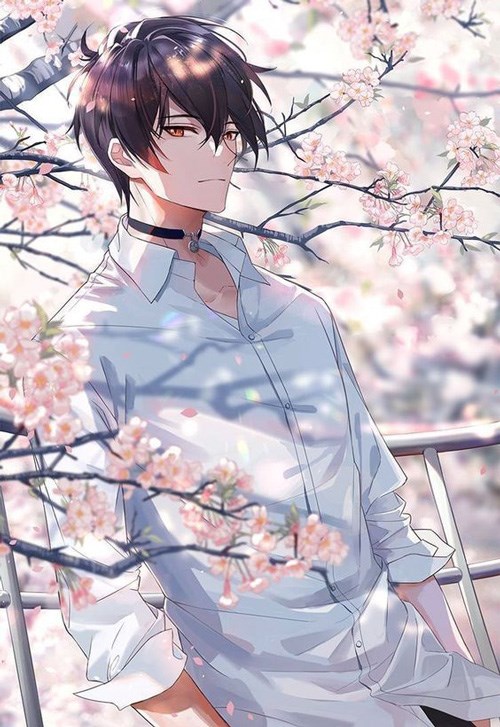 Bánh Mì Và Tình Yêu Anh Đều Muốn