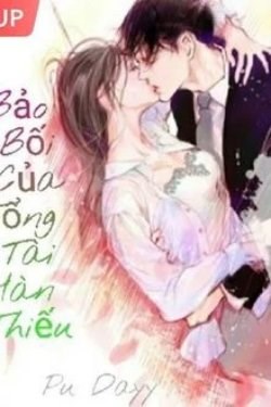 Bảo Bối Nhỏ Của Hàn Tổng