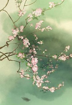 Đại Ngụy Cung Đình