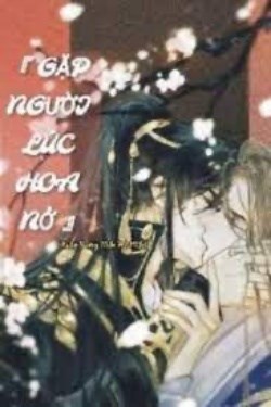 Gặp Người Lúc Hoa Nở