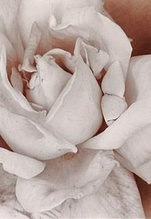 Hẹn Ước (Promises)