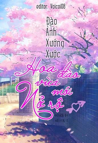 Hoa Đào Nở Rộ