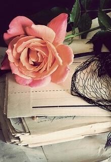 Hoa Hướng Dương Tinh Và Tiểu Đạo Sĩ