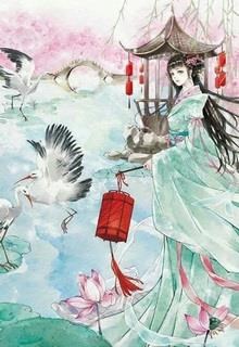 Hoạn Phi Thiên Hạ