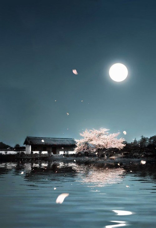 Mạt Thế Trọng Sinh: Mang Theo Thú Cưng Cùng Lăn Lộn