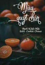Mùa Quýt Chín