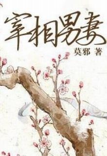 Nam thê của Tể tướng