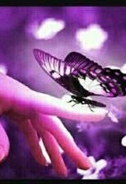 Nghiện Sắc Đẹp