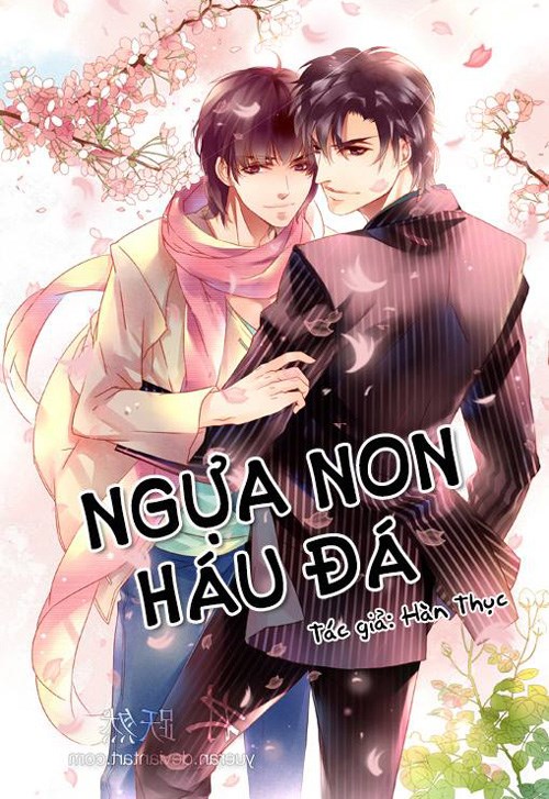 Ngựa Non Háu Đá