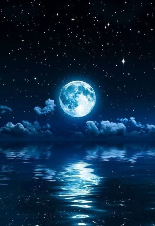 Ta Cùng Nữ Chủ Đều Thật Thơm