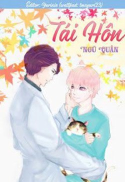 Tái Hôn