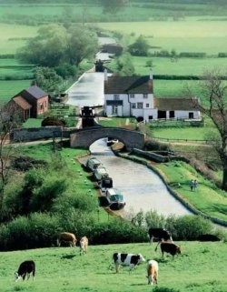 Thập Niên 70: Quần Chúng Ăn Dưa Tự Mình Tu Dưỡng