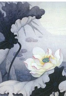 Thịnh Thế Hắc Liên Hoa