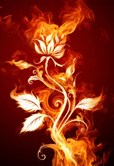 Thực Vật Chiến Sủng Của Ta