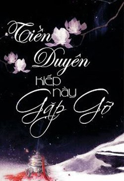 Tiền Duyên Kiếp Này Gặp Gỡ