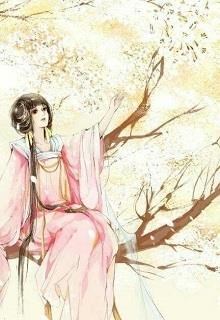 Tiết Gia Tiểu Nương Tử